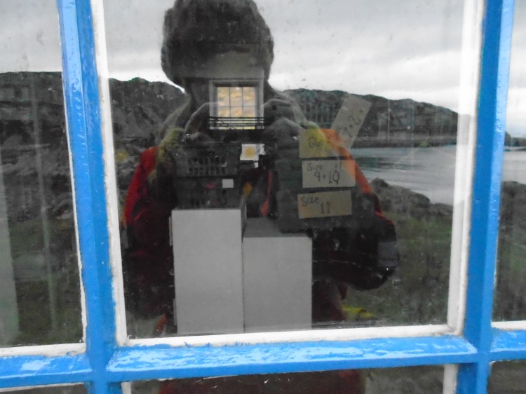 Pic 15thDec2015 Camas (153)